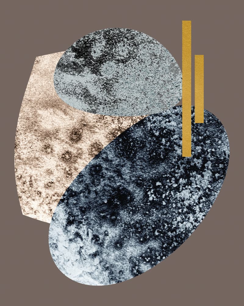 Earthy Organic Shapes Gold by Bilge Paksoylu — canvas wall art