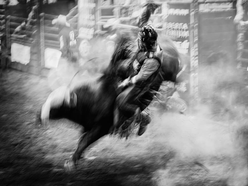 Bucking Bull Rider by Steven Zhou — canvas wall art