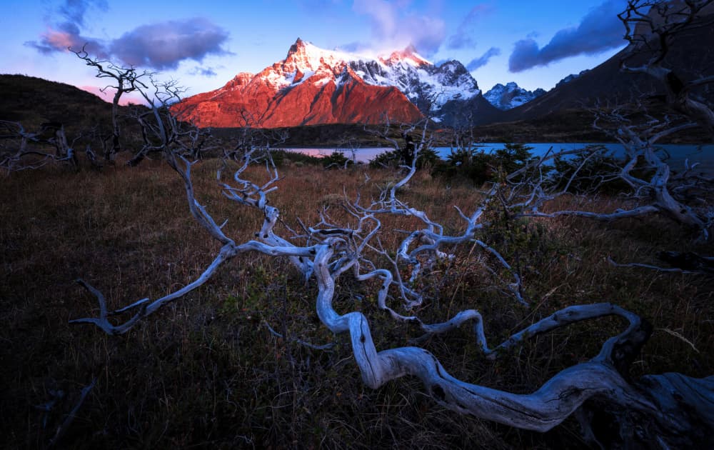 Patagonia Mountain Glow by Lijuan Yuan — canvas wall art