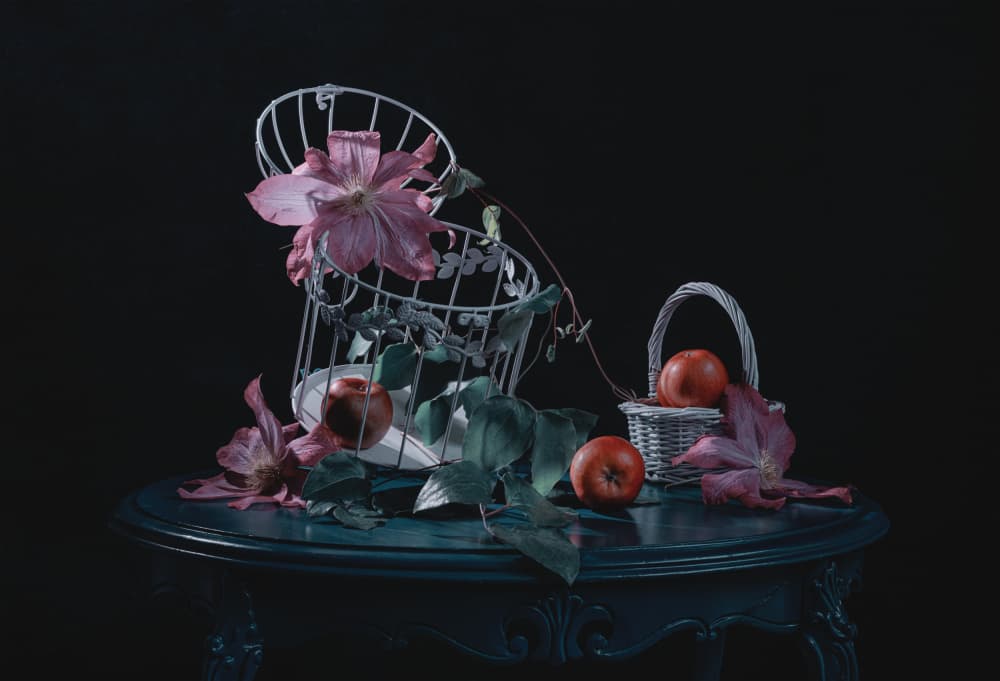 Moody Apples and Clematis by Lydia Jacobs — canvas wall art