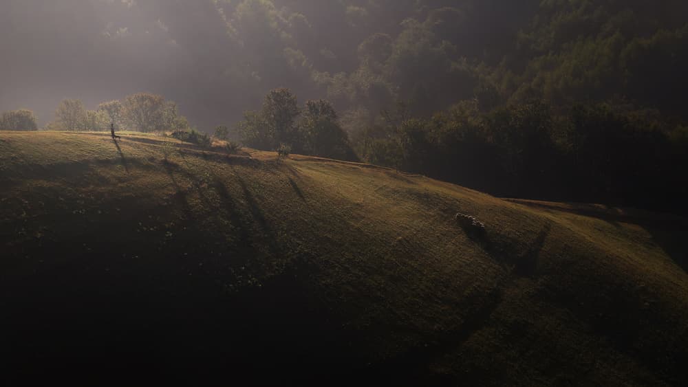 Misty Morning Hills by Marius Cinteza — canvas wall art