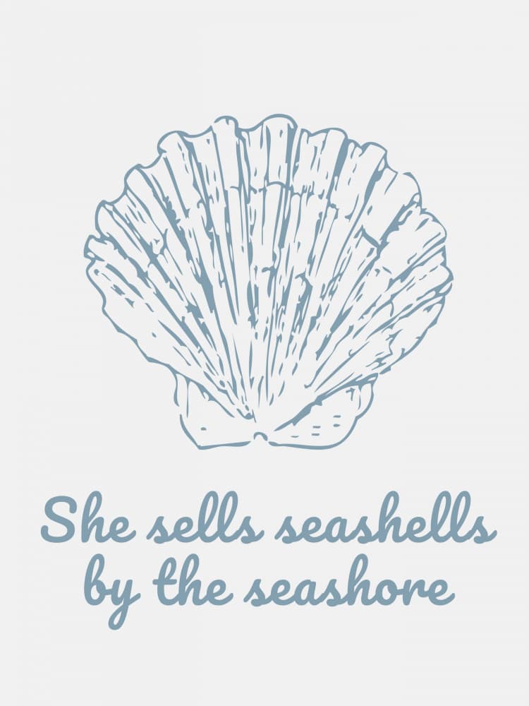 Coastal Shell Quote by Jolly and Dash — canvas wall art
