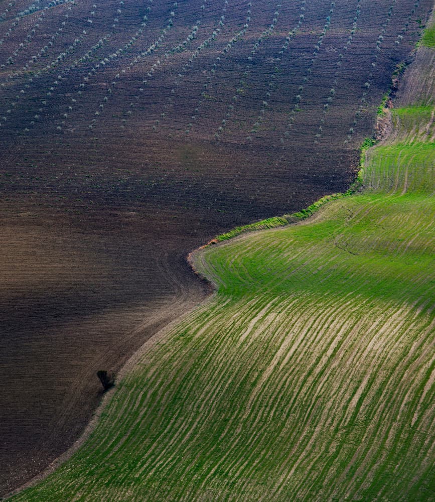 Curved Field Patterns by Clas Gustafson PRO — canvas wall art