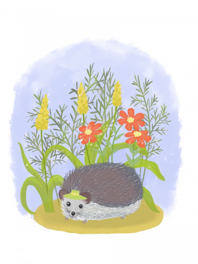 Hedgehog by Aliya Putrus — canvas wall art