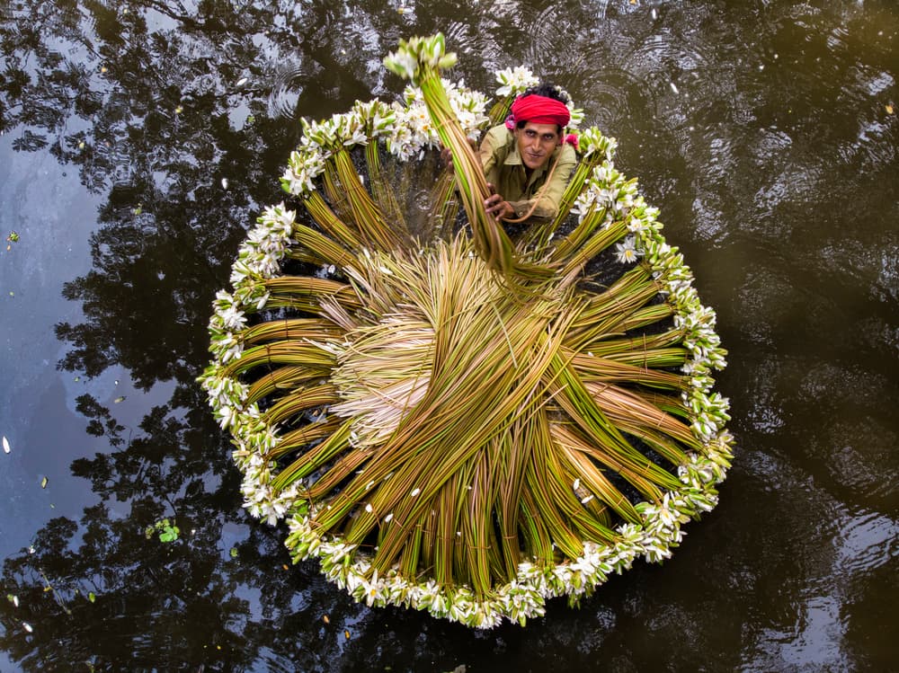 Floating Flower Farmer by Azim Khan Ronnie — canvas wall art