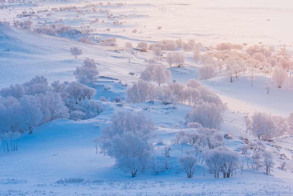 Frosted Winter Landscape by Simoon — canvas wall art