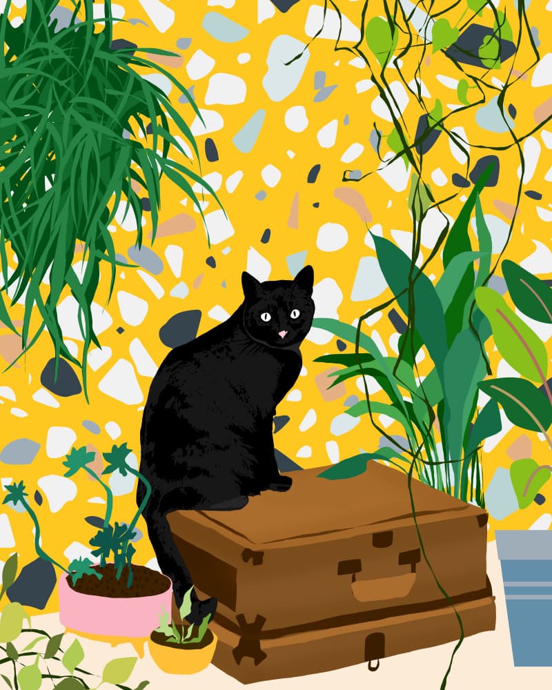 Black Cat Green Retreat by Uma Gokhale — canvas wall art