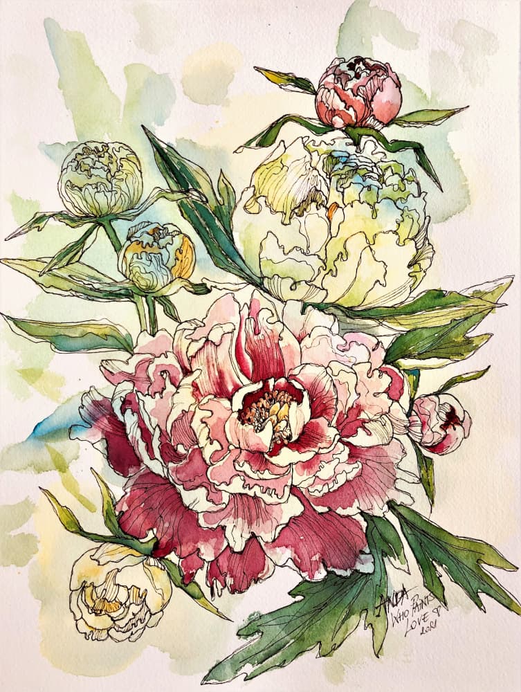 Blooming Peony Garden by Anda Bieza — canvas wall art