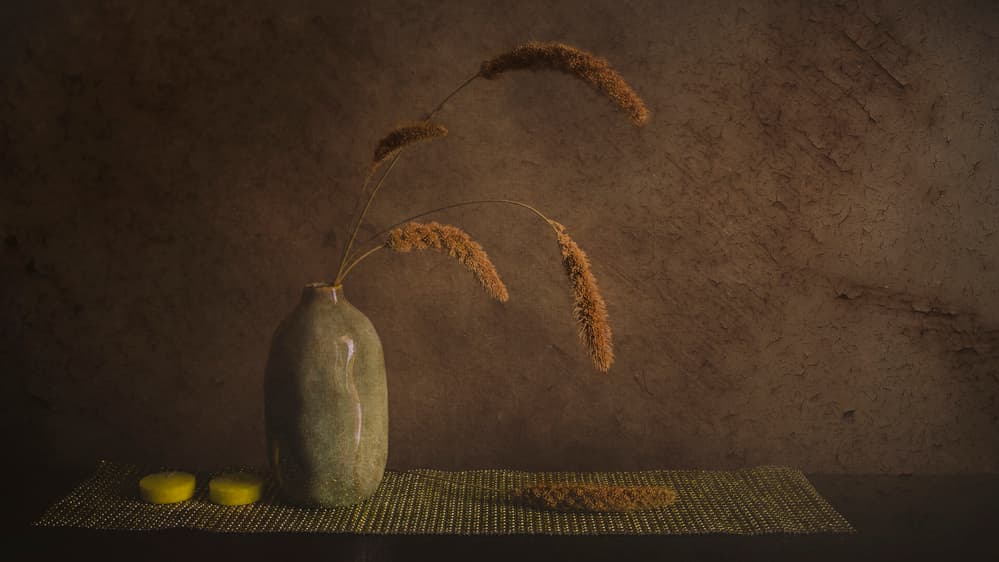 Minimalist Botanical Still Life by Cicek Kiral — canvas wall art