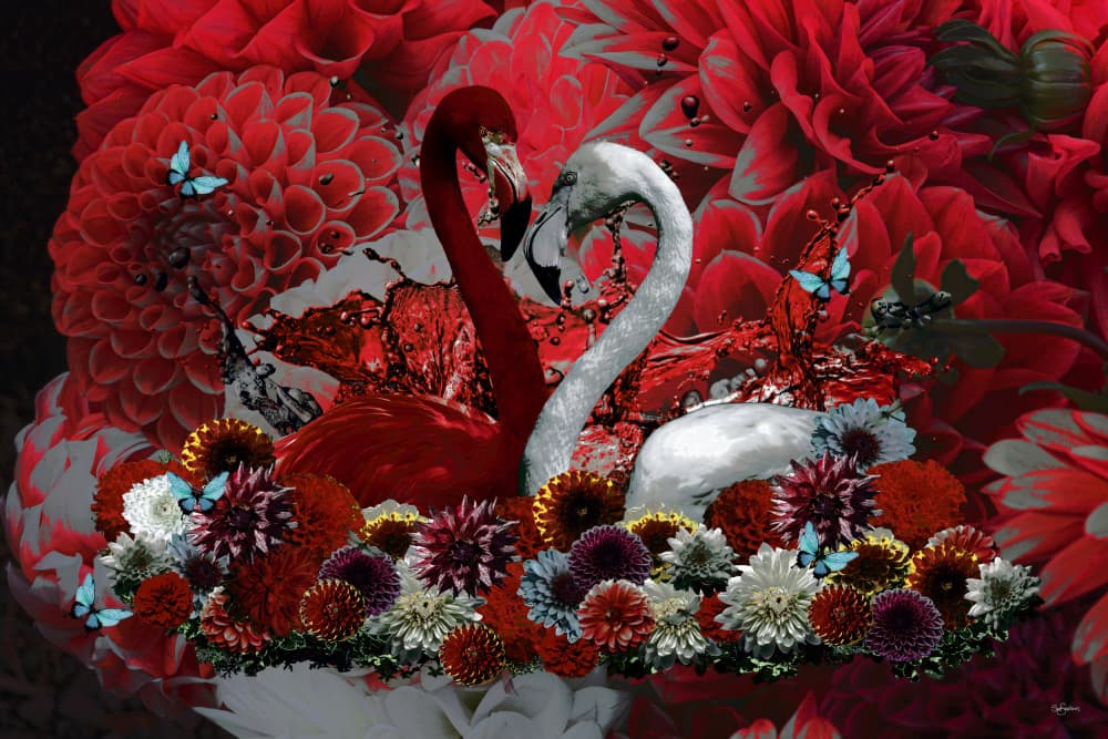 Romantic Flamingo Pair by Sue Skellern — canvas wall art