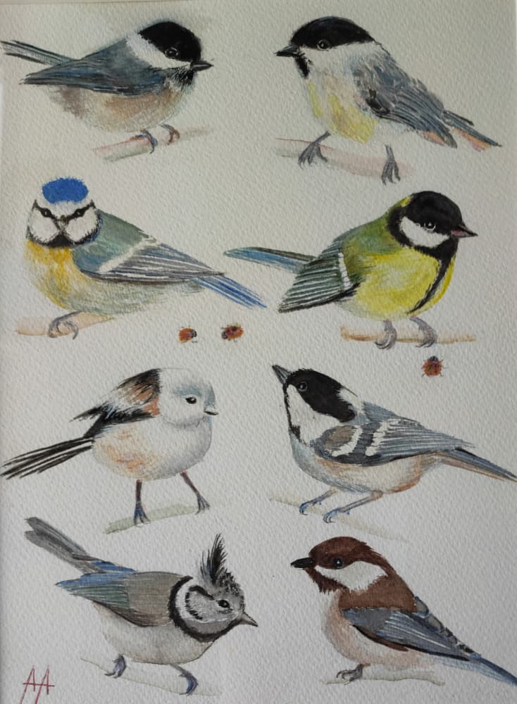 Charming Garden Tits by Annette Armitage — canvas wall art