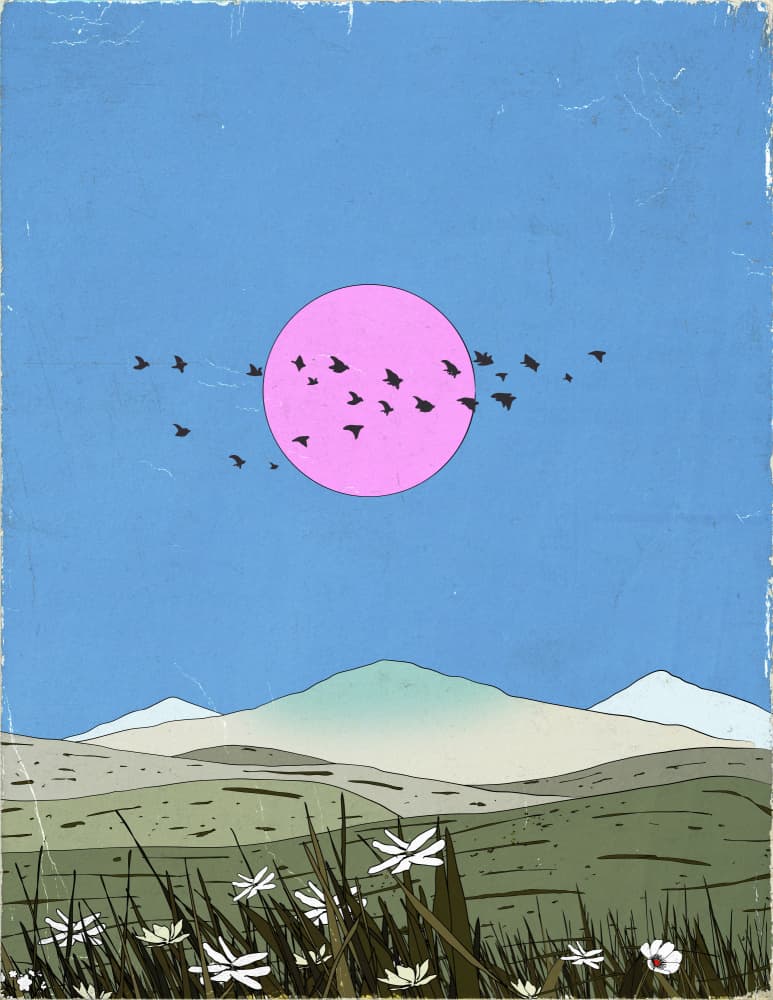 Birds Over Pink Sun by Nicholas — canvas wall art
