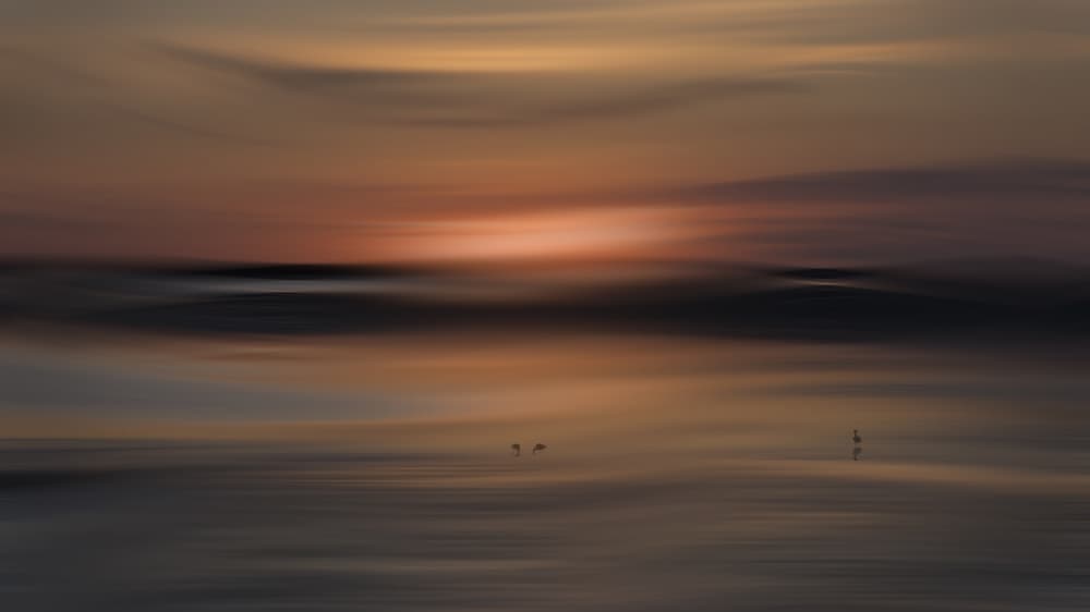 Ethereal Sunset Wading Birds by Greetje van Son — canvas wall art