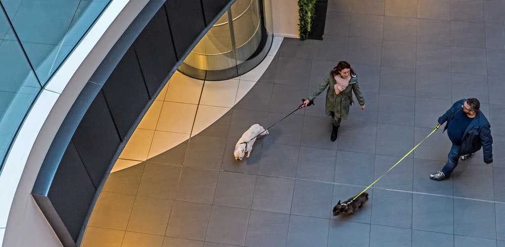 Modern Dog Walk by Lus Joosten — canvas wall art