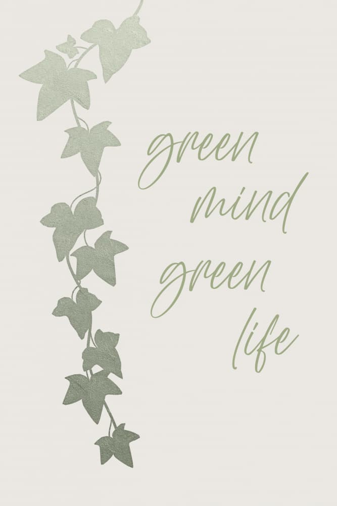 Green Ivy Quote by Melanie Viola — canvas wall art