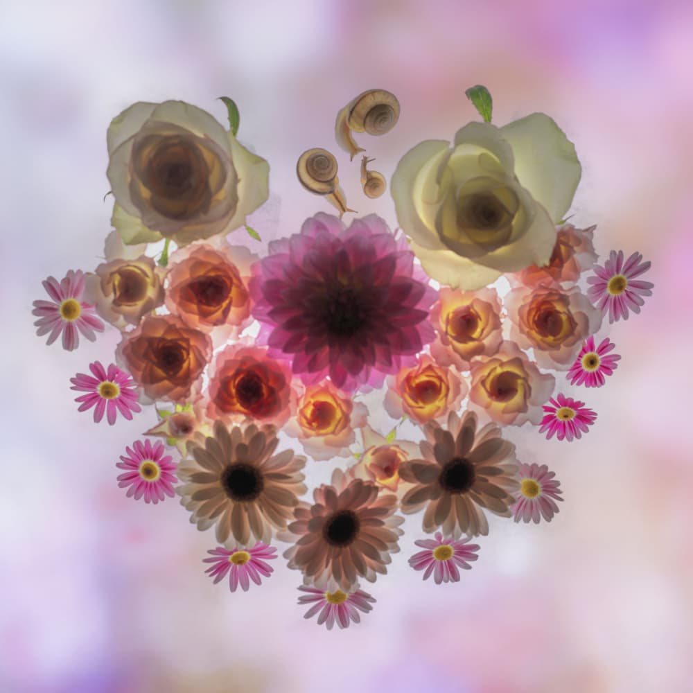 Floral Heart and Snails by Miharu † — canvas wall art