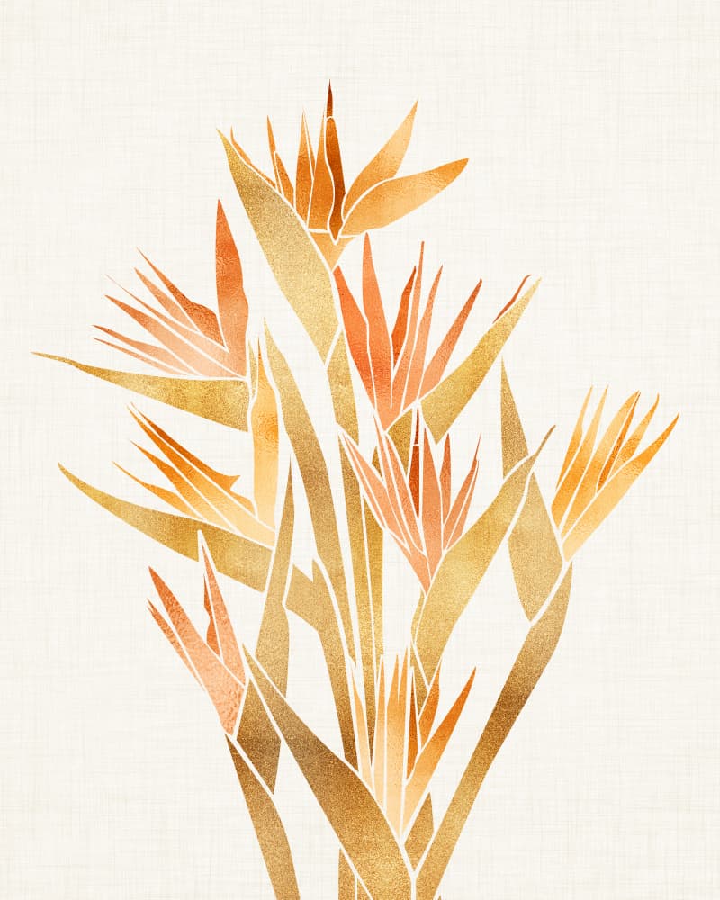 Bird of Paradise by Kristian Gallagher — canvas wall art
