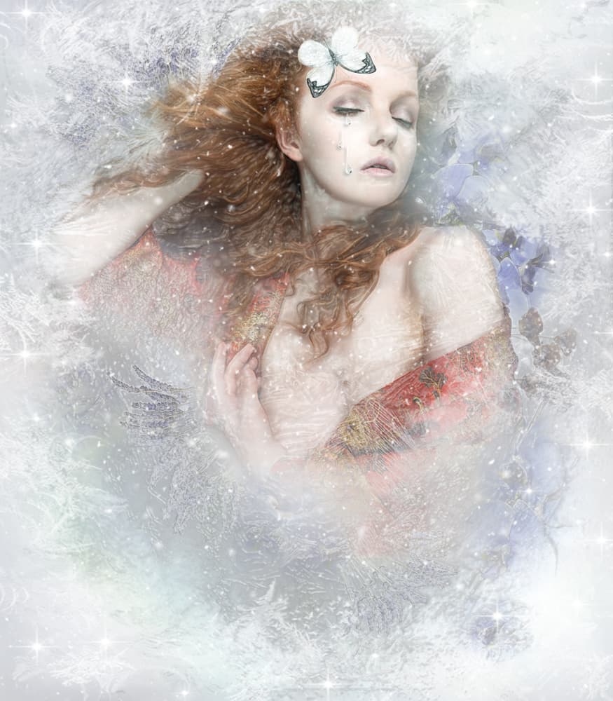 Winter Butterfly Dream by Ewa Całkosińska-Kajzer — canvas wall art