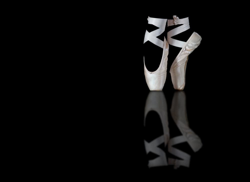 Elegant Pointe Shoes by Pauline Pentony MA ARPS DPAGB — canvas wall art