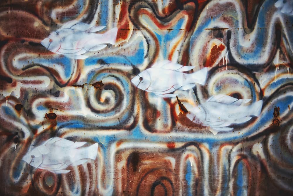 Fluid Graffiti Fish by Tim Mossholder — canvas wall art