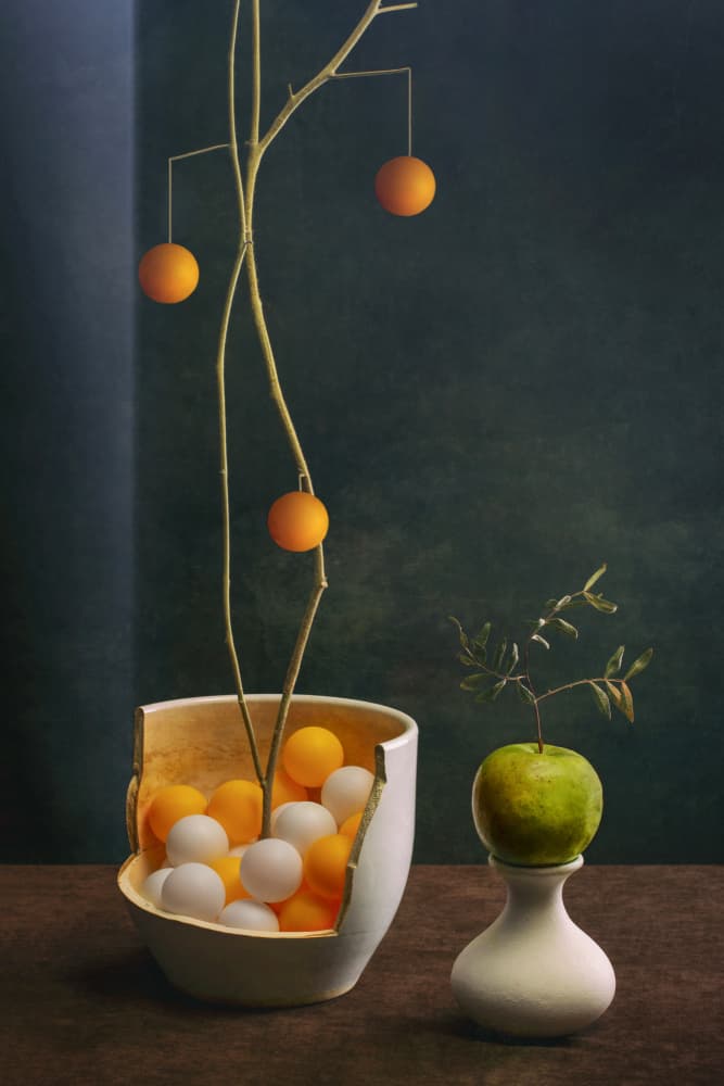 Elegant Fruit Still Life by Brig Barkow — canvas wall art