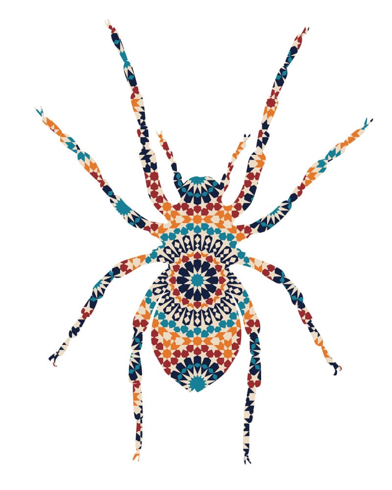 Colorful Geometric Spider by Emiliano Deificus — canvas wall art