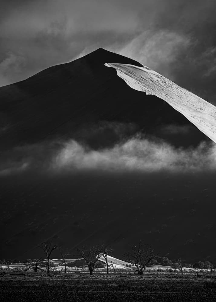 Misty Desert Dune by Marco Tagliarino — canvas wall art