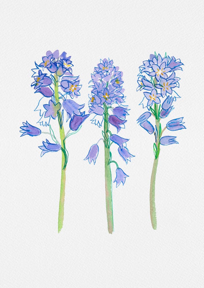 Watercolor Blue Flowers by Kata Botanical — canvas wall art