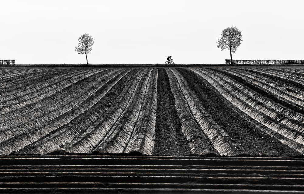 Lone Cyclist Winter Field by Lou Urlings — canvas wall art