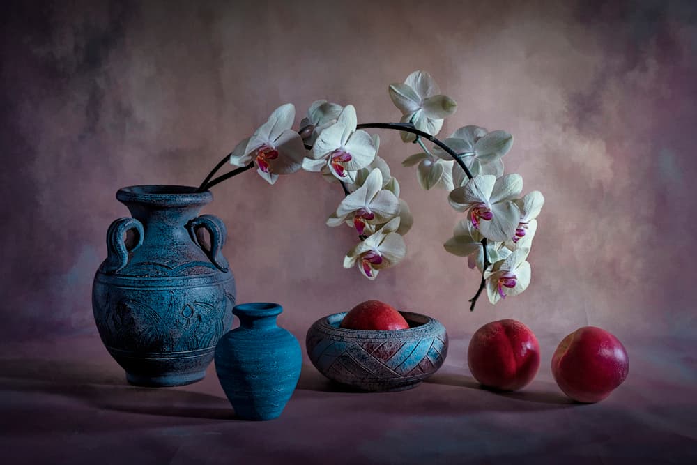 Elegant Orchid Still Life by Lydia Jacobs — canvas wall art