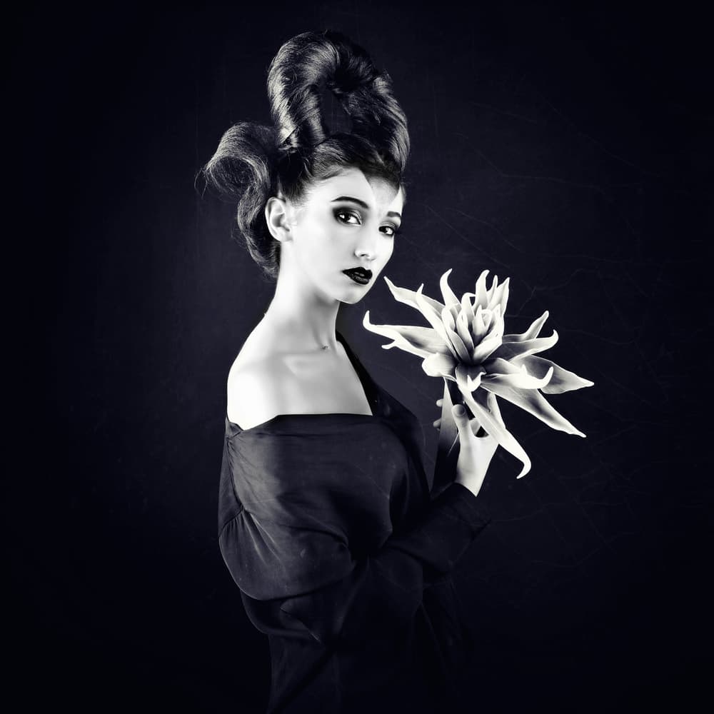 Elegant Dark Bloom by Alexandra Fira — canvas wall art