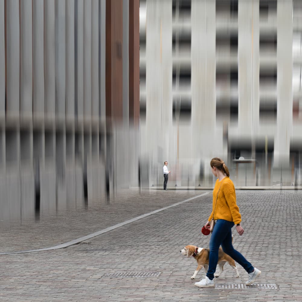 Urban Motion Dog Walk by Luc Vangindertael (laGrange) — canvas wall art