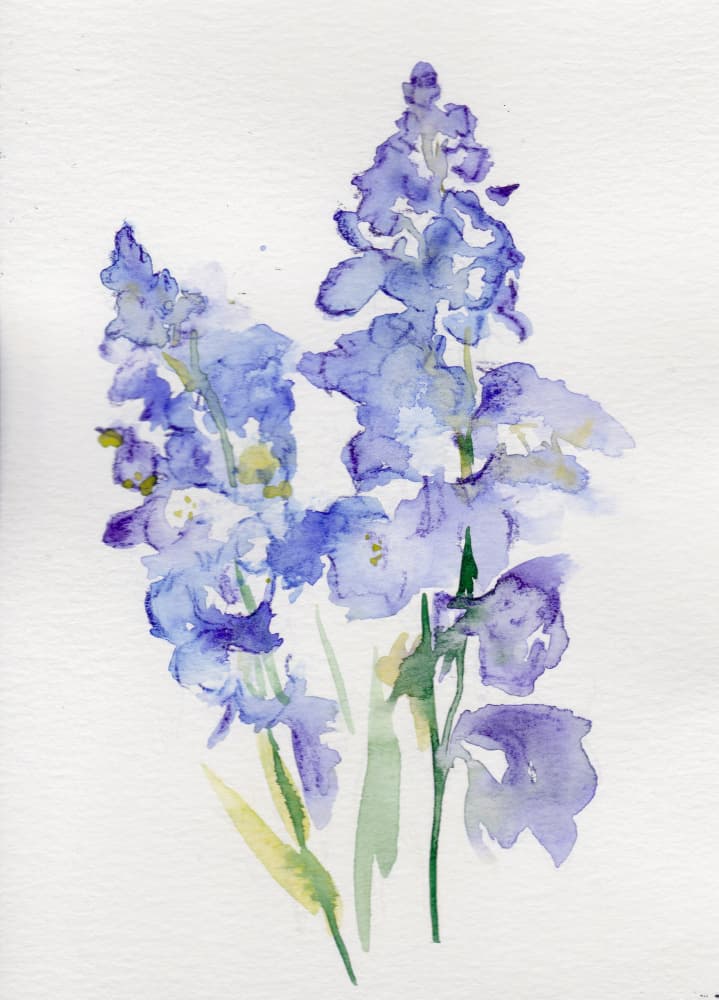 Soft Lavender Blooms by Christine Lindstrom — canvas wall art