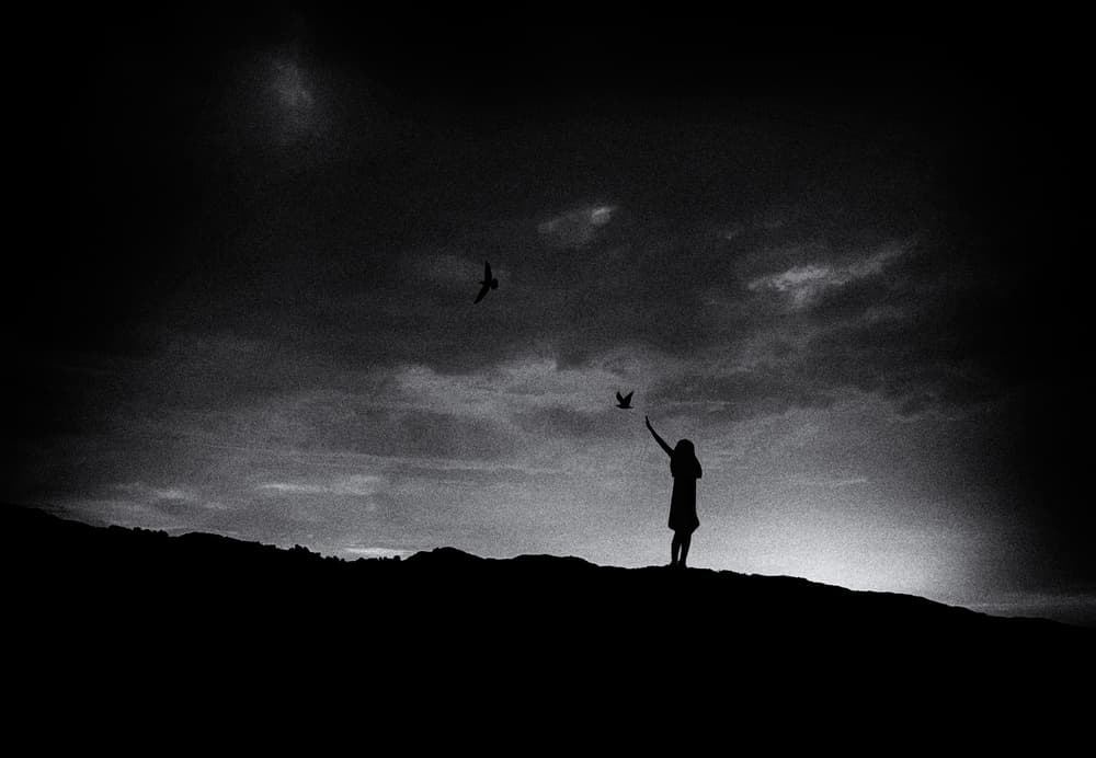 Girl Releasing Bird by Roxana Labagnara — canvas wall art