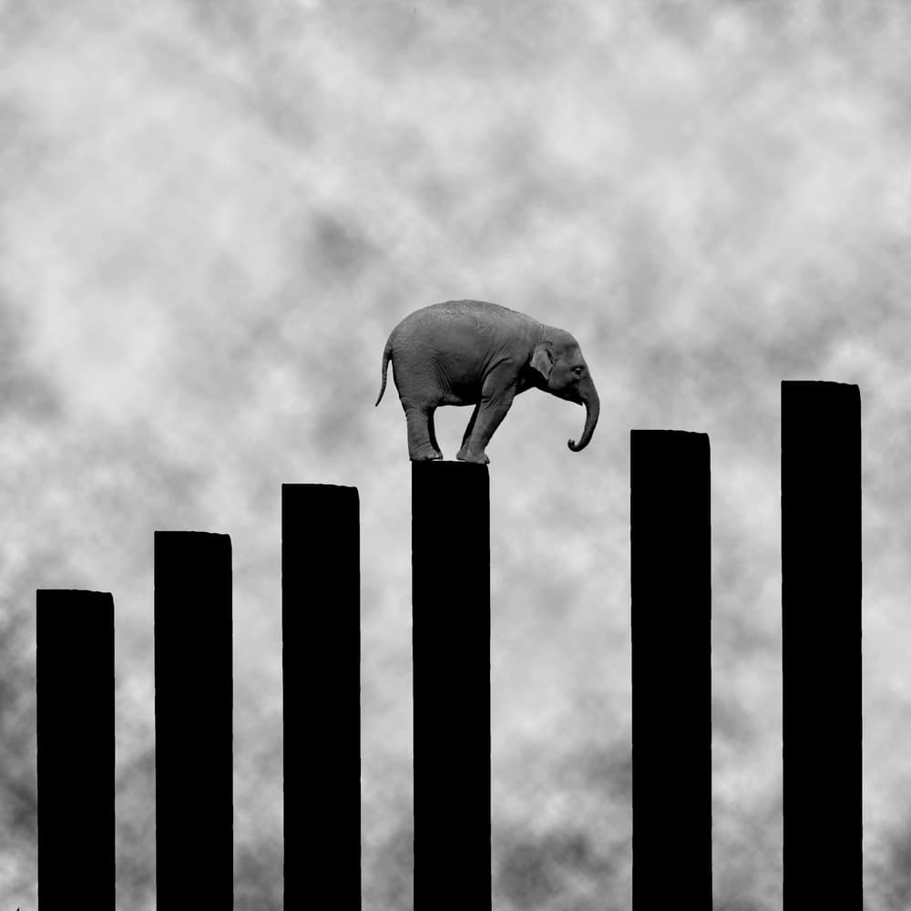 Elephant's Upward Climb by Hadi Malijani (Malenjani) — canvas wall art