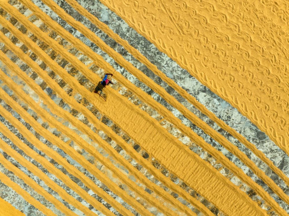 Golden Harvest Patterns by Azim Khan Ronnie — canvas wall art