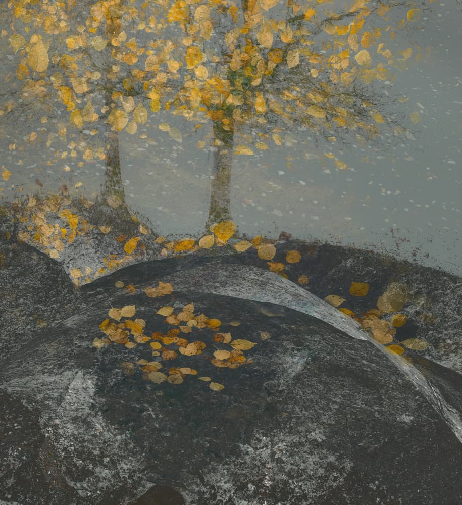 Falling leaves by Nel Talen — canvas wall art