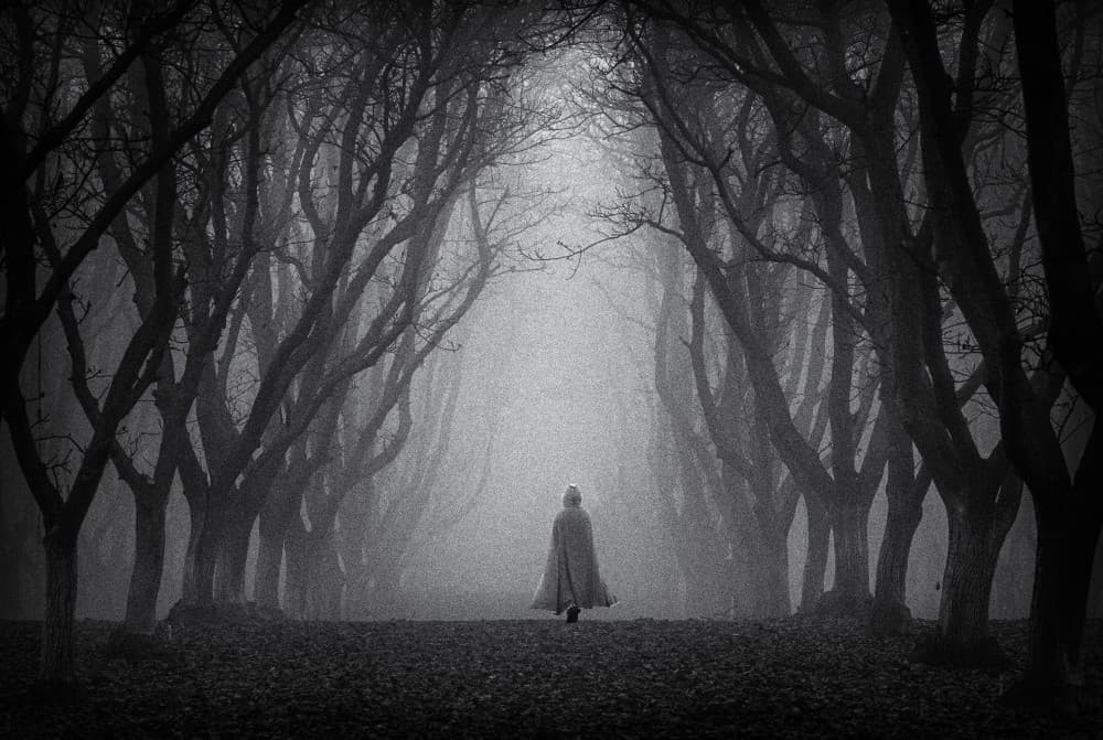 Mysterious Figure Forest Path by Dianne Mao — canvas wall art