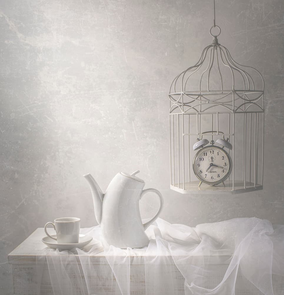 Time in a Cage by Margareth Perfoncio — canvas wall art