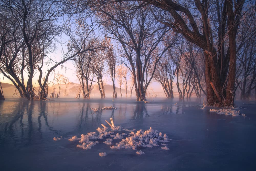 Frozen Winter Sunrise by TIANQI — canvas wall art
