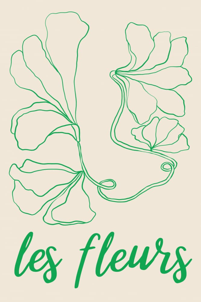 Les Fleurs Botanical Drawing by Talitha McQueen — canvas wall art