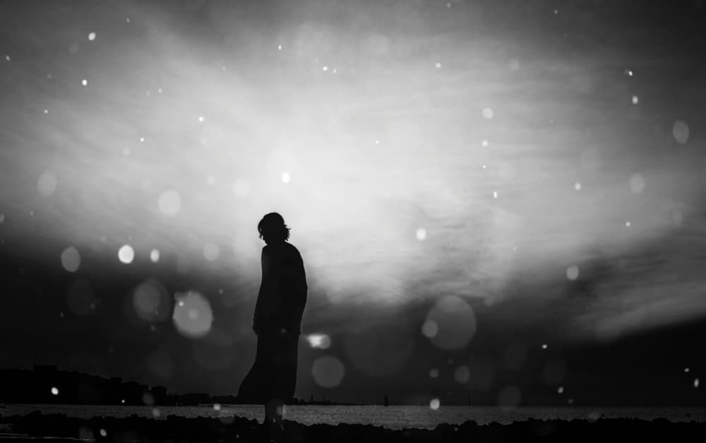 Dreamy Night Silhouette by Mi Young Choi — canvas wall art
