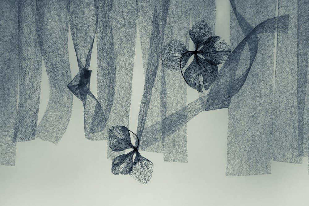 Delicate Botanical Texture by Shihya Kowatari — canvas wall art