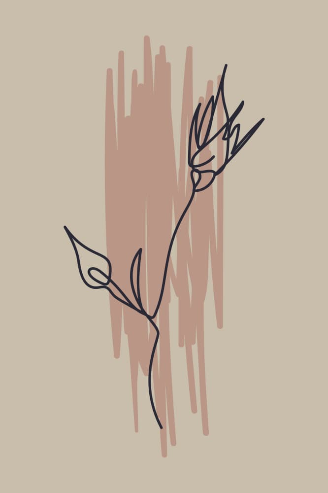 Minimalist Line Flowers by Anna Rose — canvas wall art