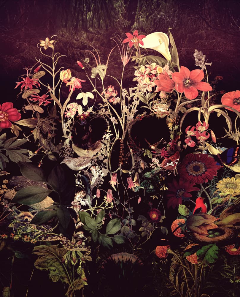 Dark Floral Skull by Ali Gulec — canvas wall art