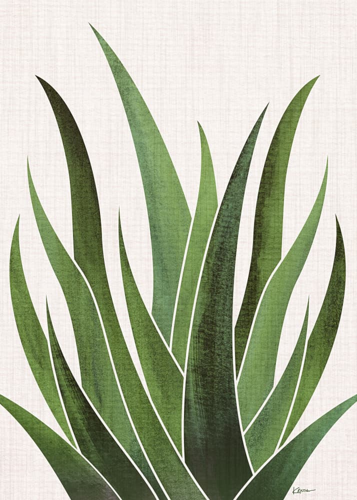 Desert Agave 5 by Kristian Gallagher — canvas wall art