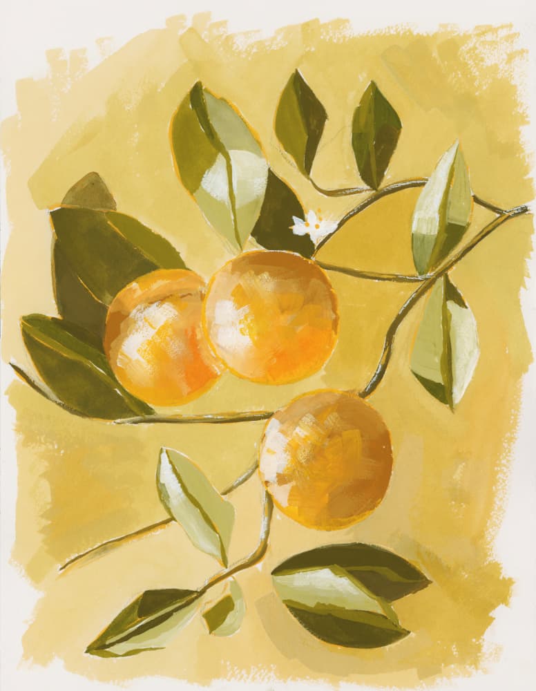 Sunny Citrus Branch by Lucrecia Caporale — canvas wall art