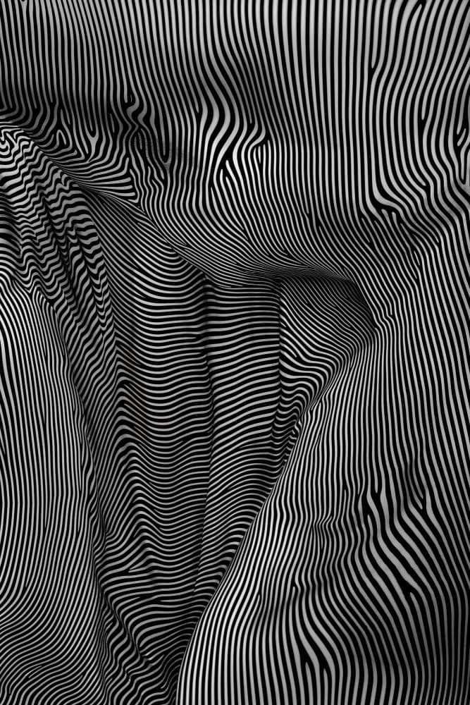 Abstract Flowing Lines by Minorstep — canvas wall art