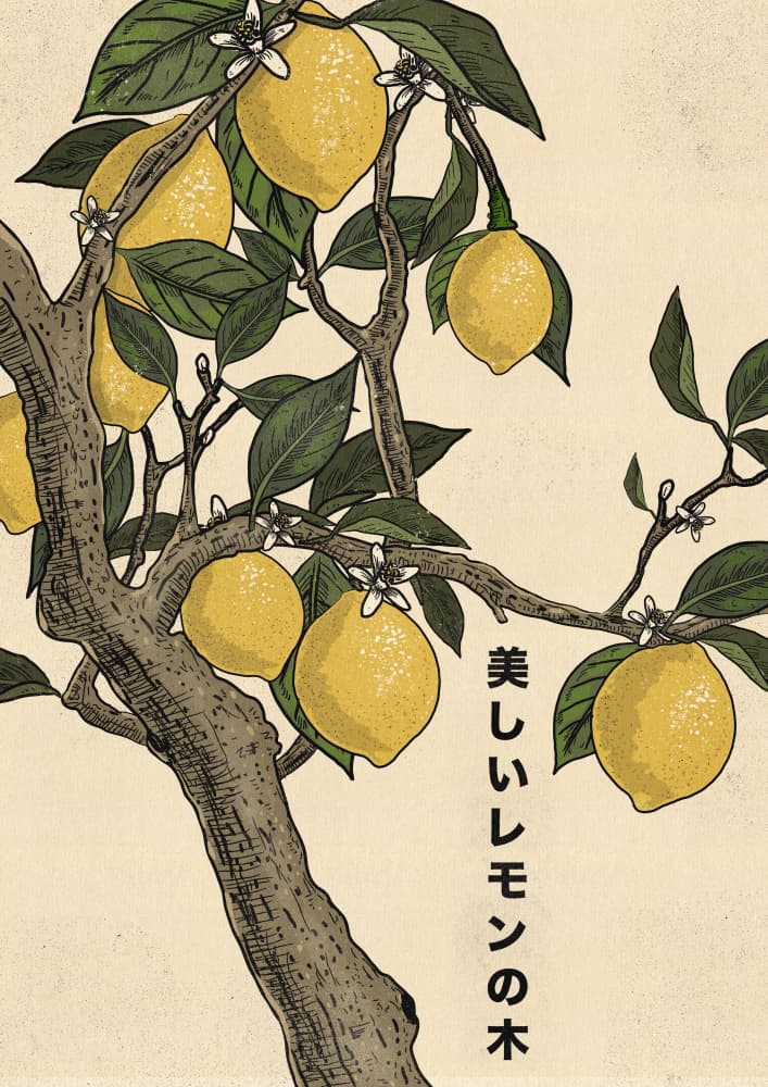 Beautiful Lemon Tree by Nicholas — canvas wall art