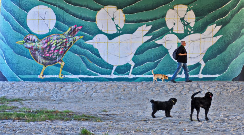 Birds Mural Urban Life by Hans Peter Rank — canvas wall art